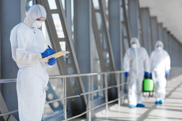 Best Black Mold Removal  in La Luz, NM