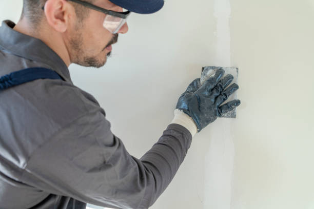 Best Post-Remediation Verification Testing  in La Luz, NM