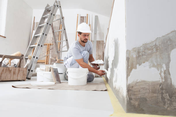La Luz, NM Mold Removal Company