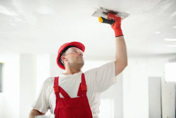 Best Mold Documentation for Insurance Claims  in La Luz, NM