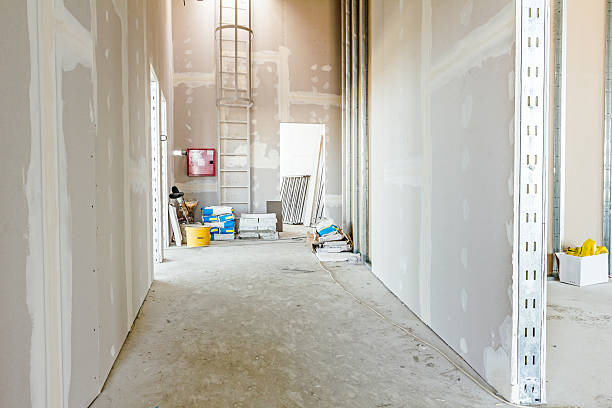 Best Mold Odor Removal Services  in La Luz, NM