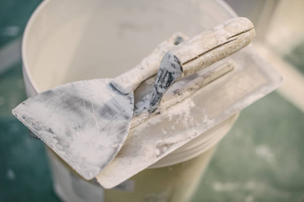 Best Mold Damage Restoration  in La Luz, NM